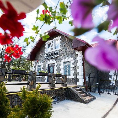Royal Inn Busteni-Adults Only エクステリア 写真