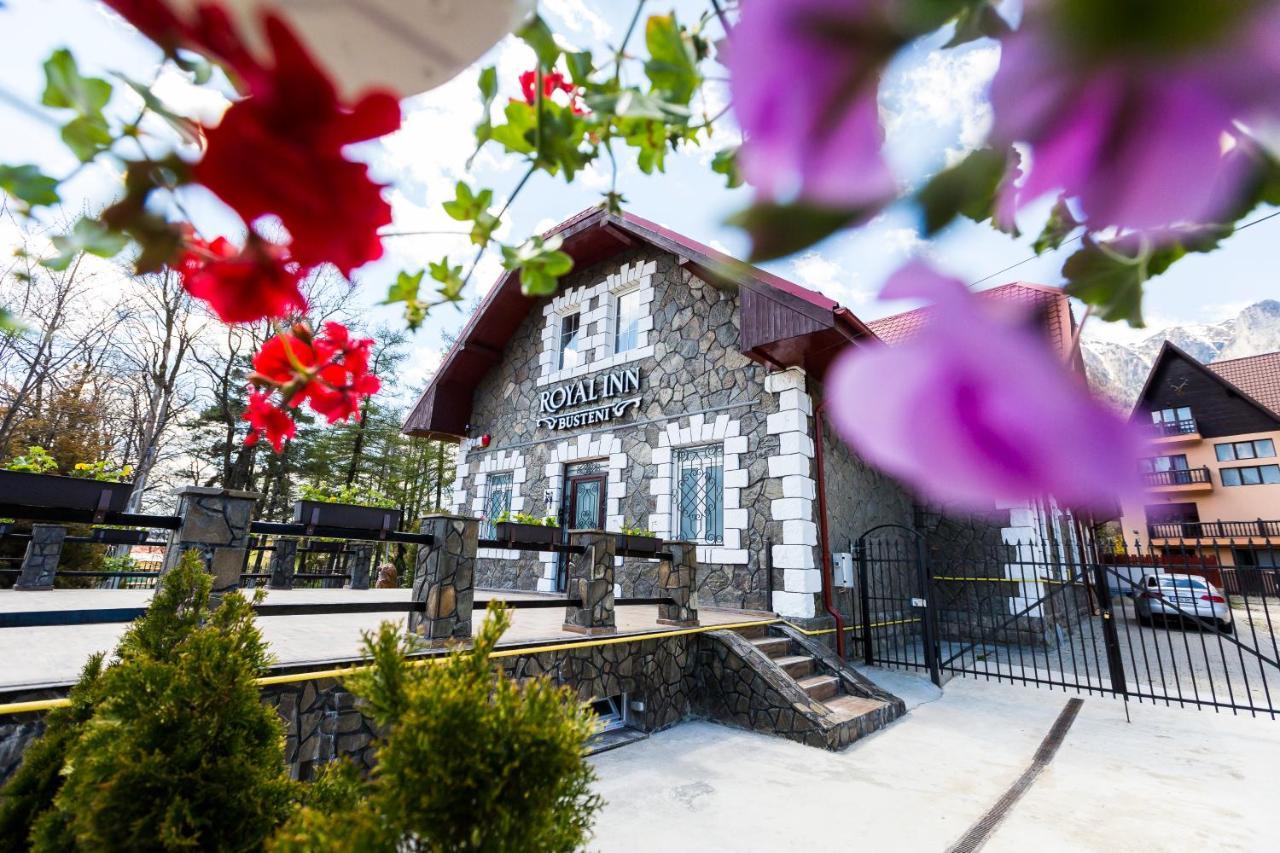 Royal Inn Busteni-Adults Only エクステリア 写真