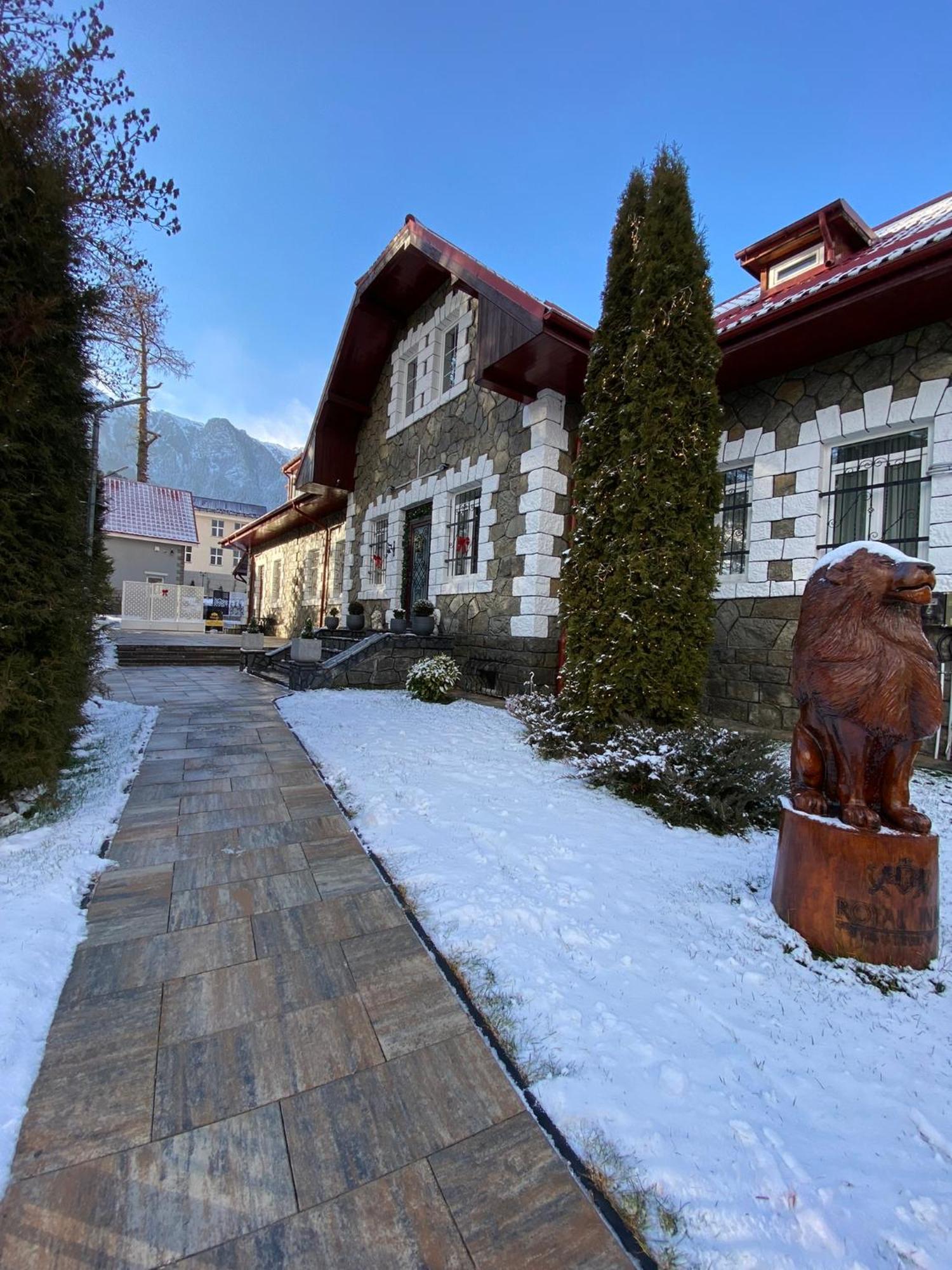 Royal Inn Busteni-Adults Only エクステリア 写真