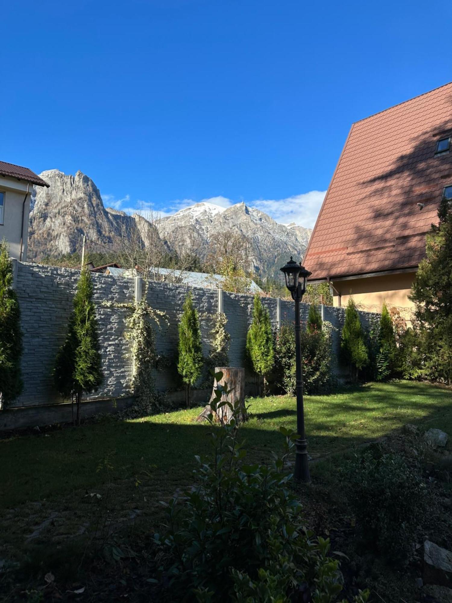 Royal Inn Busteni-Adults Only エクステリア 写真